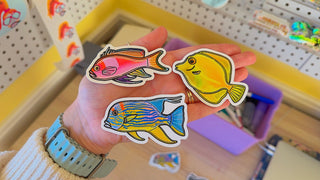 Squarespot Anthias Sticker