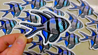 Benggaii Cardinalfish Sticker