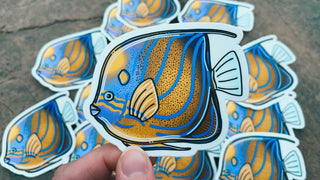 Annularis Angelfish Sticker