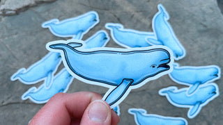 Beluga Whale Sticker
