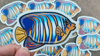 Royal Angelfish Sticker