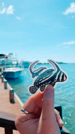 Spotted Drum Fish Sticker