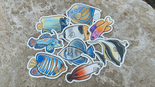 Royal Angelfish Sticker