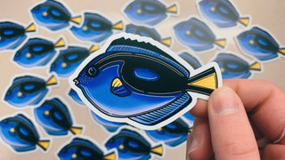 Royal Blue Tang Sticker