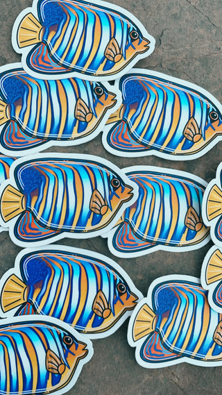 Royal Angelfish Sticker