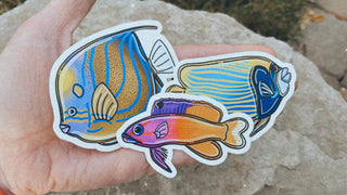 Emperor Angelfish Sticker
