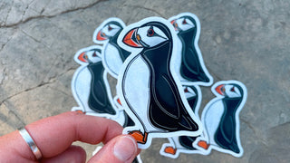 Atlantic Puffin Sticker