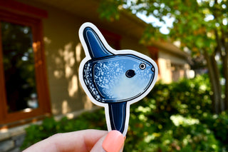 Mola Mola Sticker