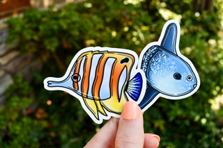 Mola Mola Sticker