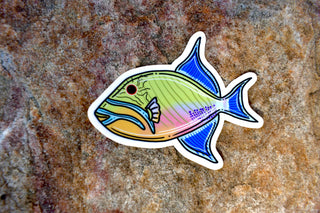 Queen Triggerfish Sticker