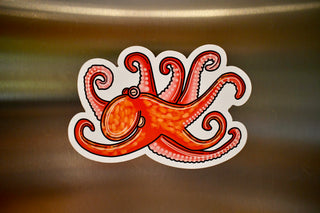 Octopus Magnet
