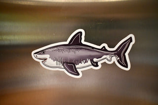 Great White Shark Magnet