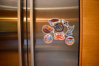 Save Our Reefs Magnet