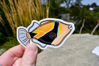 Reef Triggerfish Sticker