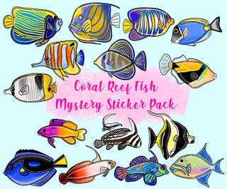 Coral Reef Fish Mystery Pack of 5 Stickers