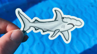 Hammerhead Shark Sticker