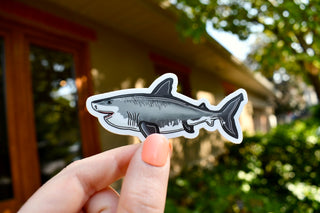 Great White Shark Sticker