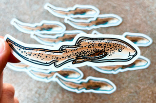 Zebra Shark Sticker