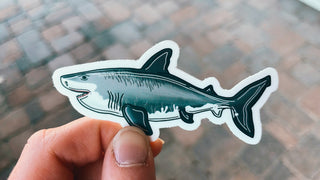 Great White Shark Sticker